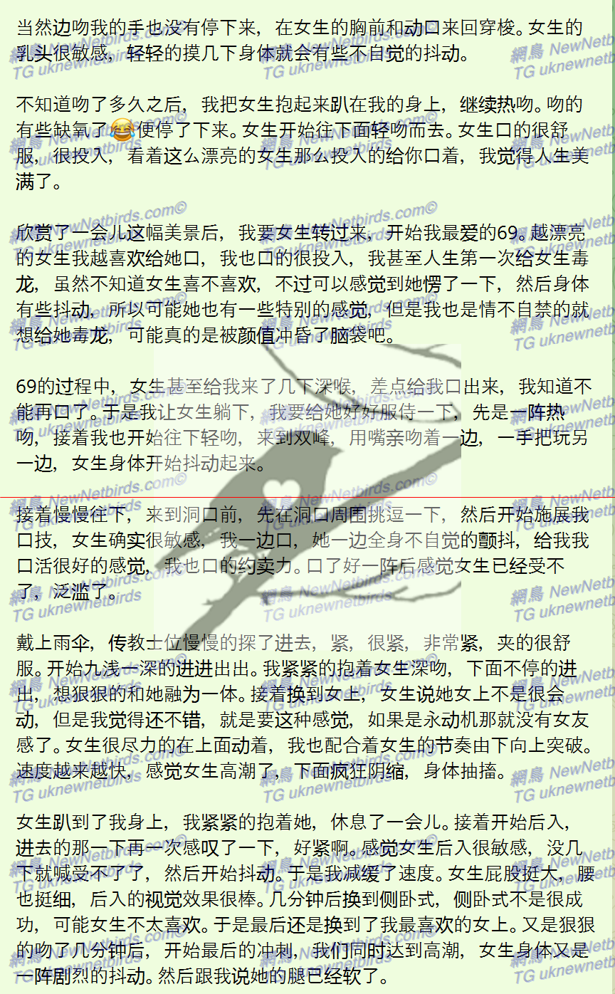 戰號 295 3.png